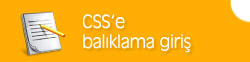 CSS ‘e Balıklama Giriş