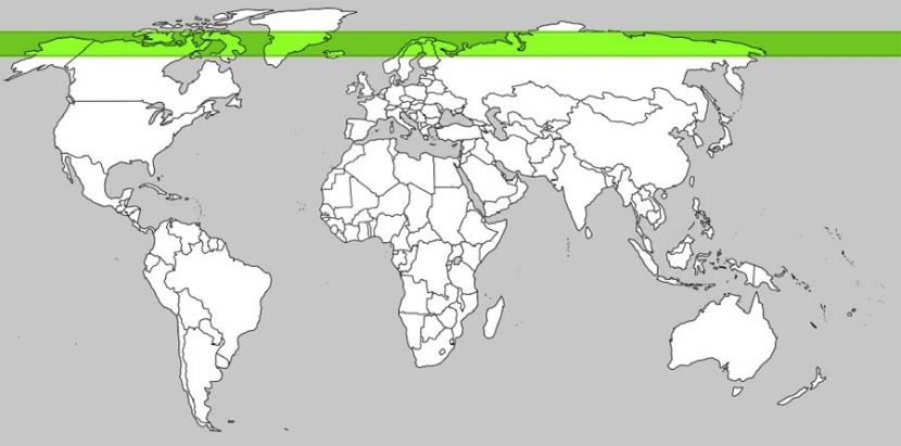 aurora-world-map