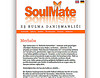 Soul Mate Danışmanlık