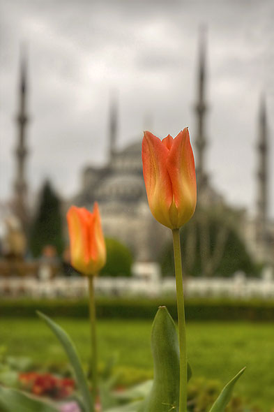 Sultanahmet